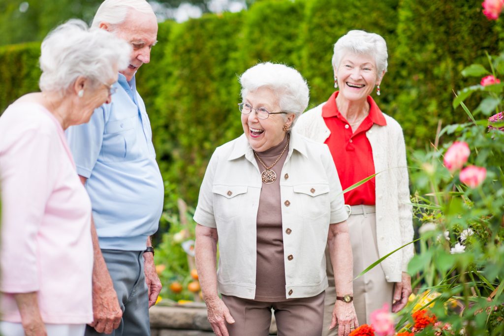Group of elderly people chatting and walking in a flower garden